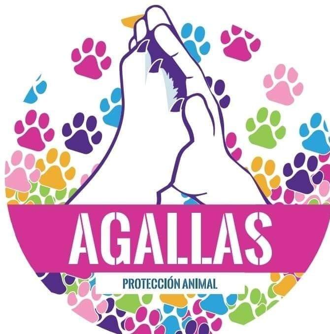 Agallas